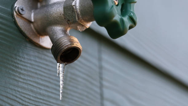 Best Clogged Drain Plumber  in Liberty, MO